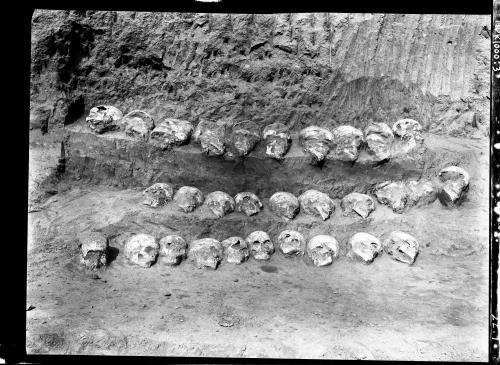 ’西北岡1550號商王大墓台階中出土的人頭骨’